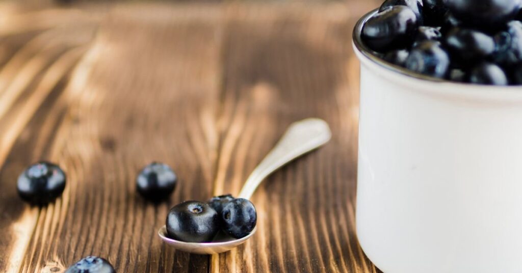blueberries for dogs