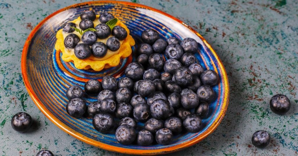 blueberries for dogs