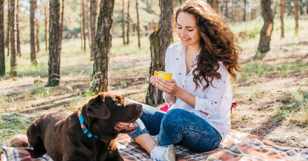 can dogs eat blueberries