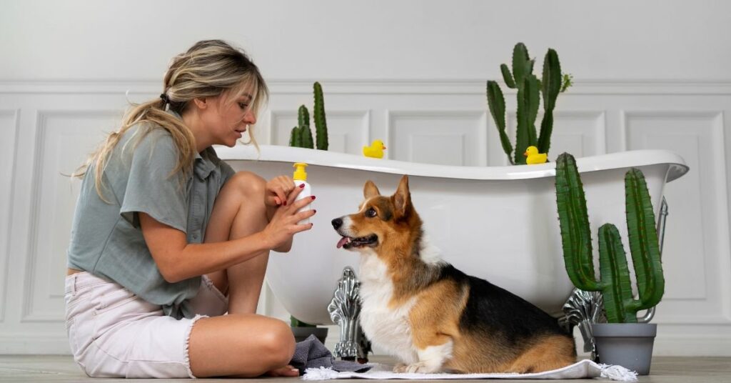can dogs eat tofu