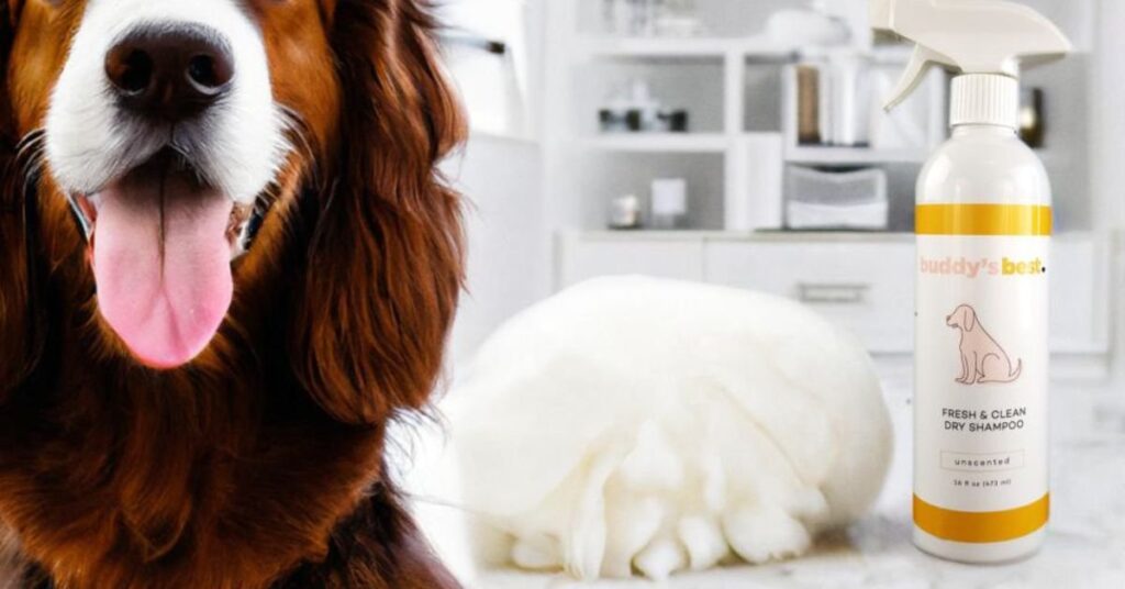 dog dry shampoo