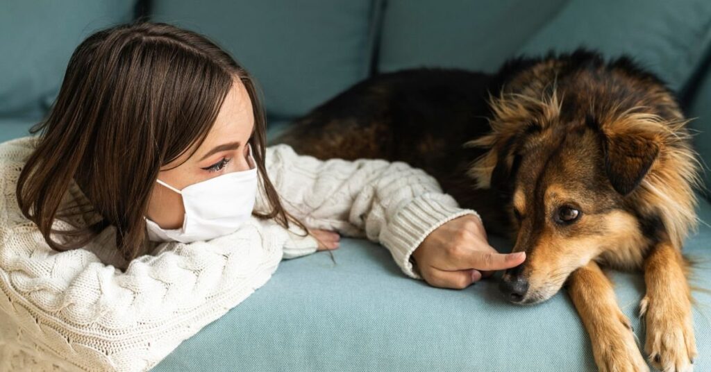 dog keeps coughing