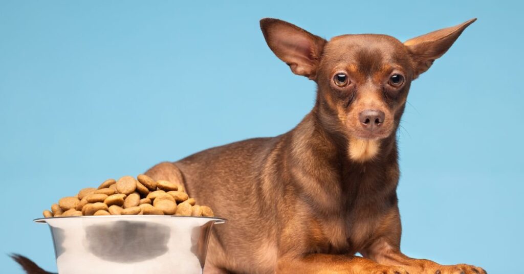 kangaroo dog food