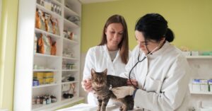 Signs, Causes, and Prevention Tips