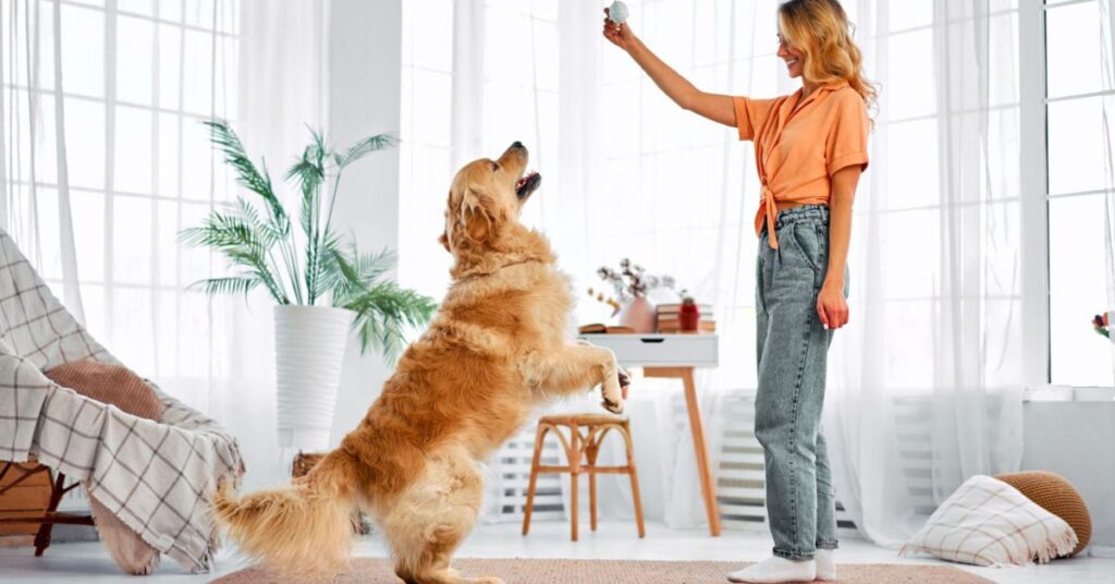 Easy Ways to Raise a Well-Behaved Dog